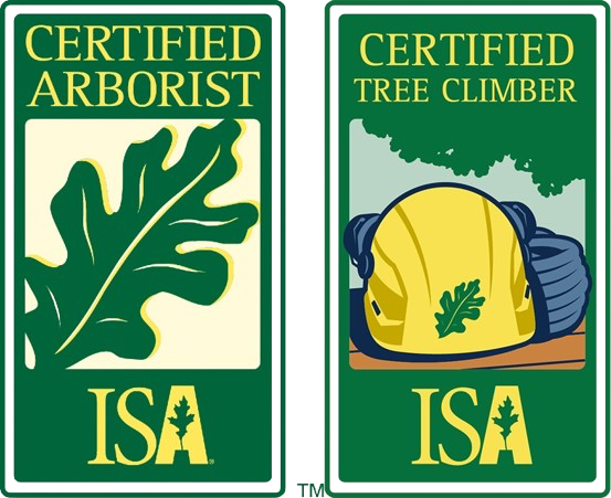 ISA Certified Arborist