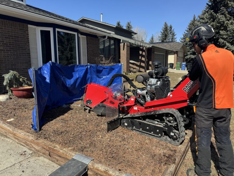 Stump grinding and removal services in Calgary